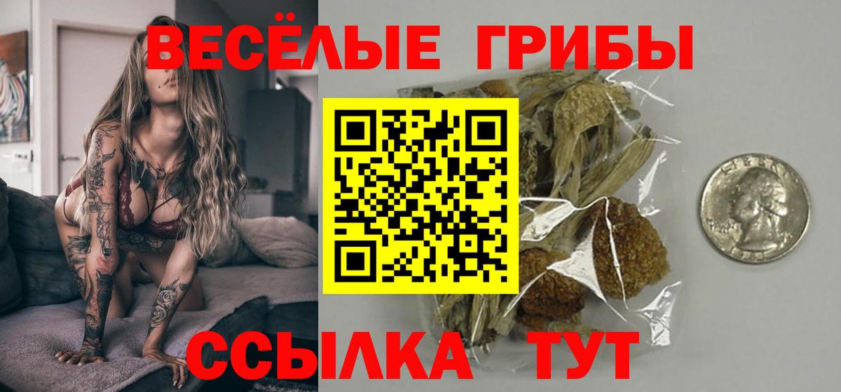 Псилоцибиновые грибы Cubensis  купить закладку  Рузаевка  Галлюциногенные грибы мицелий  Вход с VPN 